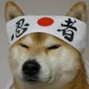 655bd7093f6a47a7bb64e737c40c4ed0