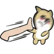shibakick