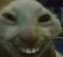 carhehe