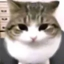 emoji_49