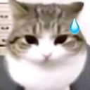 :sweat: