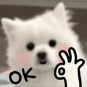 73f7d8c46a7ebc4dc6d535447c4230bd