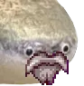 fimsbeard fimsbeard