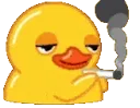 classicduck