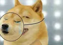 fake_smile fake_smile