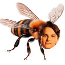 Oscar_Beeastrimin Oscar_Beeastrimin