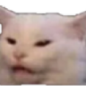 A white cat with a strained, confused expression looking slightly to the side.