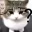 11KittyCat02Question