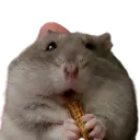 MealwormHiccup