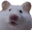 NodMochi