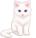 45499kitty