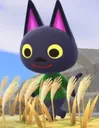 Kiki_walk
