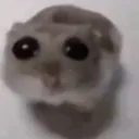 __ __