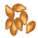 pumpkin_seeds