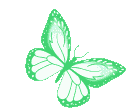 cc_butterfly_green