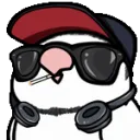 nekobirbglasses
