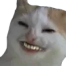 1283747776697598043