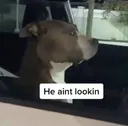 heaintlookin