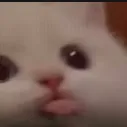 bla