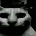 catDespair