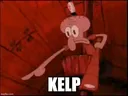 KELP