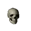 spinningskull