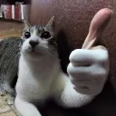 yup