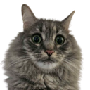 Loki2 Discord emoji
