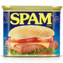 spam