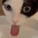 LICK
