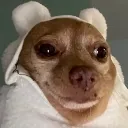 SusheComfy