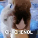 canelita