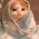 catSad