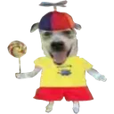 sillyboy