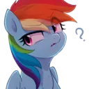 confuseddashie
