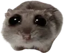 sadhampter sadhampter