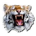 tiger_laugh