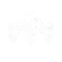 wings Discord Emoji from ɴᴇᴛᴠᴇʀꜱᴇ