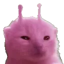 alienpartycat