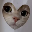 luff