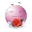 pinkrose