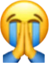 FNL_emoji_sob_praying