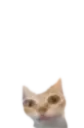 er