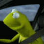 033Kermit_Stare