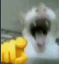 CATLAUGH