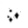 60504blacksparkle