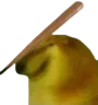 BONK