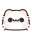 1932myaowlcatshocked