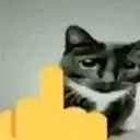 Gato_Jodete