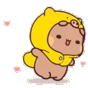 01BearSpin